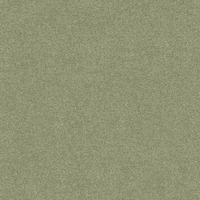 Everglades Freedom flooring swatch