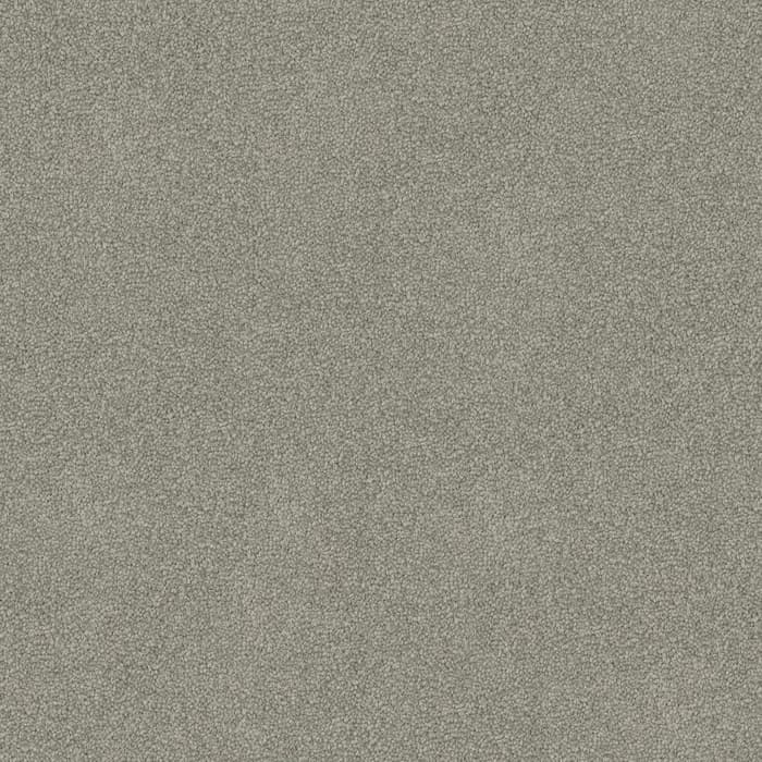 Natural Grey Freedom flooring swatch