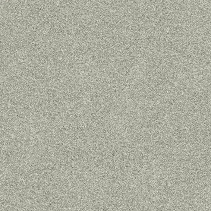 Oyster Shell Freedom flooring swatch