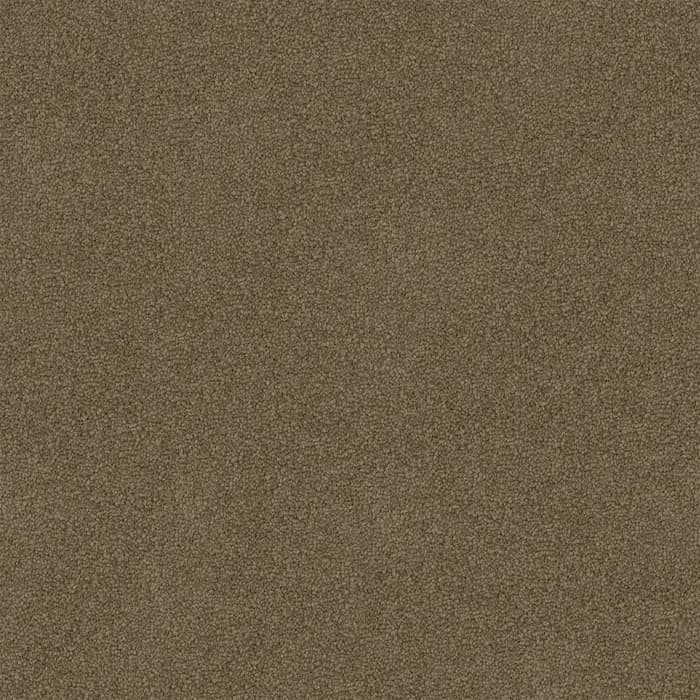 Palm Sugar Freedom flooring swatch