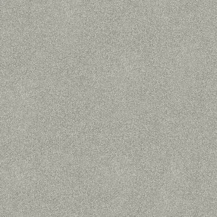Sonic Silver Freedom flooring swatch