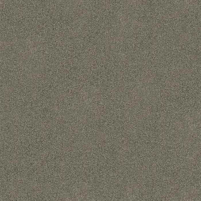 Whale Freedom flooring swatch