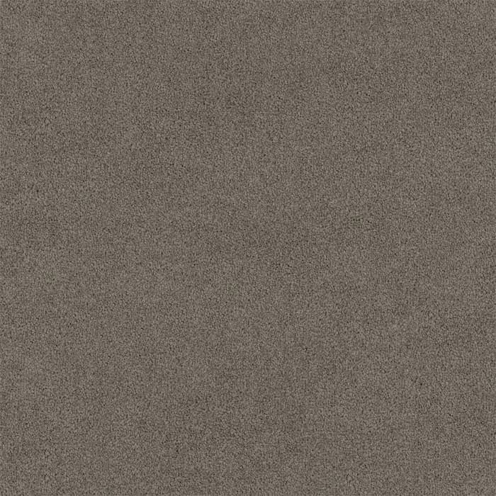 Tinker Lasting Touch flooring swatch