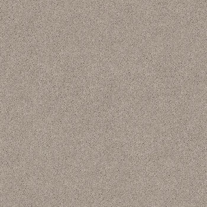 Snow Gum Regal Elegance flooring swatch