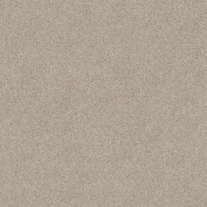 Willow Regal Elegance flooring swatch