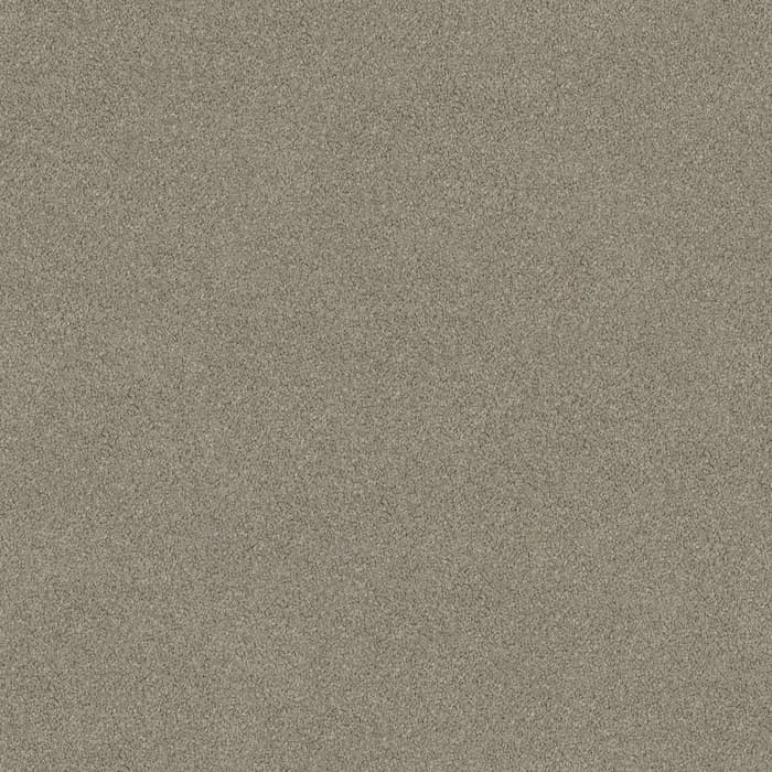 Dawn Frost Wild River flooring swatch