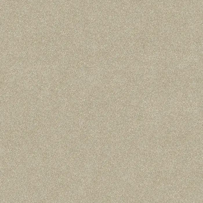 Tan Stipple Wild River flooring swatch