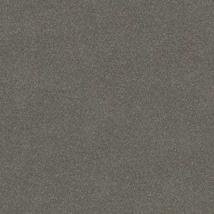 Whale Stipple Wild River flooring swatch