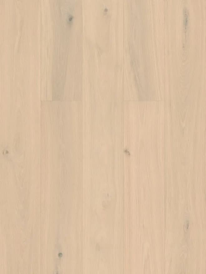 Cream White European Oak flooring swatch