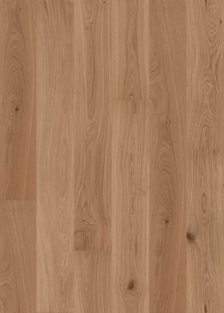 Fawn Oak European Oak flooring swatch
