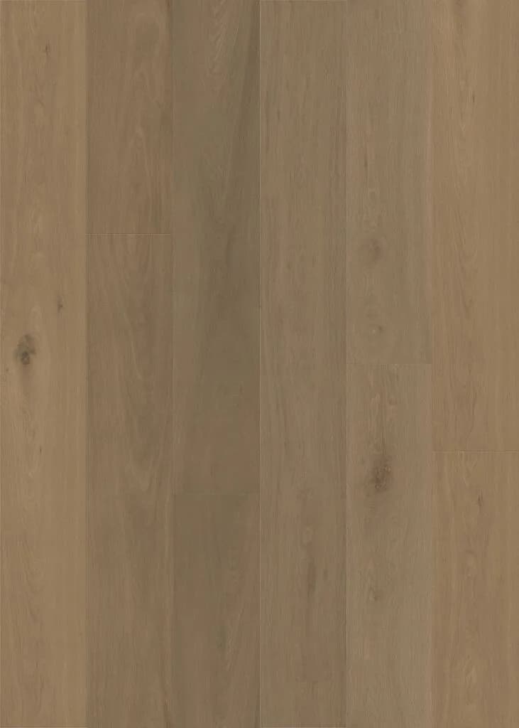Tan Brown European Oak flooring swatch