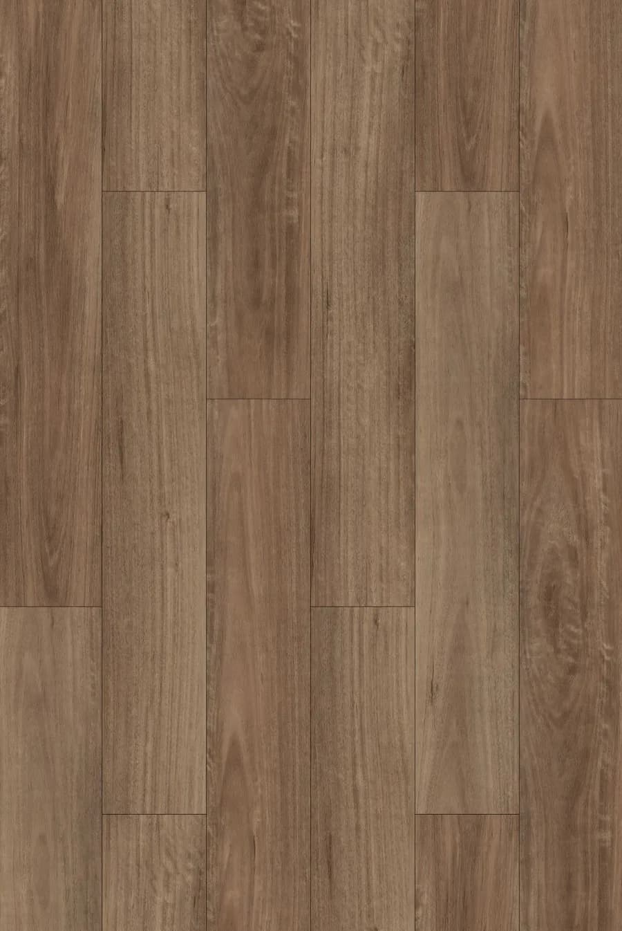 Spotted Gum Hydromate flooring swatch