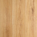 Blackbutt Oakleaf