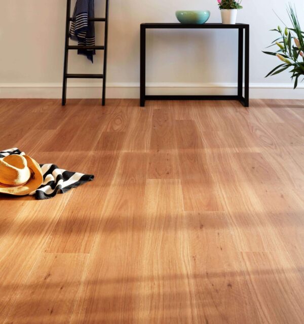 Coastal Blackbutt