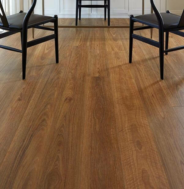 Spotted Gum Oakleaf