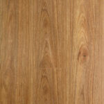 Spotted Gum Oakleaf