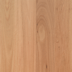 Coastal Blackbutt (136mm)