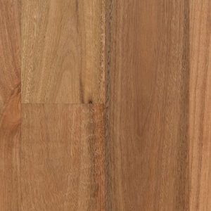 Spotted Gum 136 mm