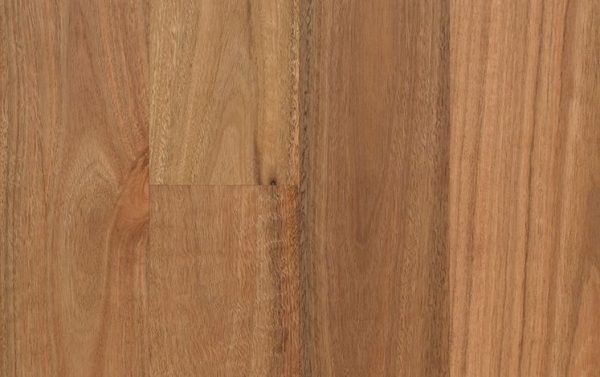 Spotted Gum 136 mm