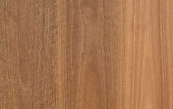 Spotted Gum 180 mm