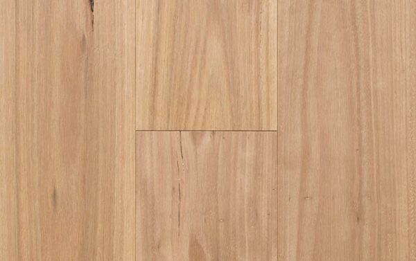Blackbutt Infinite